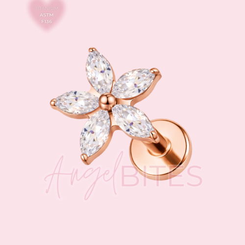 Producto 4 (copia)