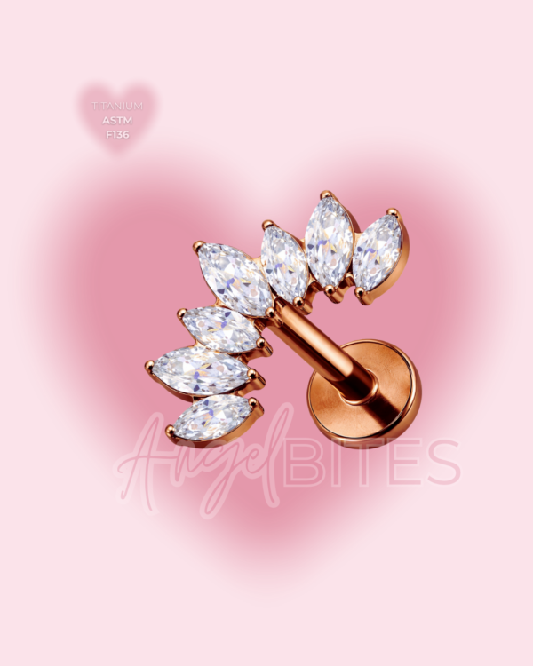 _Angel Bytes Catalogo 1 (25) Angel Crown