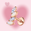 Pearl Wings