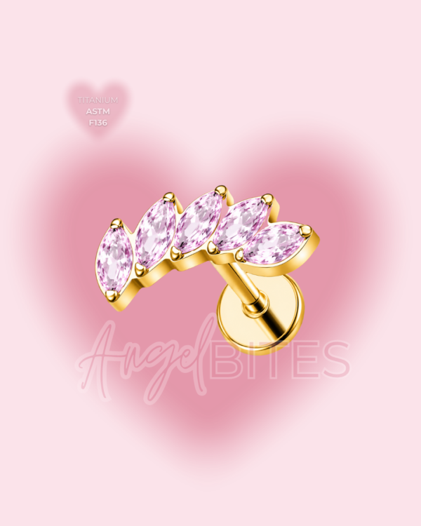 _Angel Bytes Catalogo 1 - 2026-07-05T185731.158 Pinky Wing