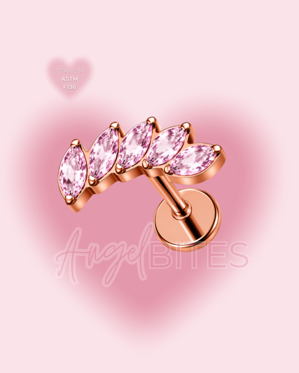 _Angel Bytes Catalogo 1 - 2026-07-05T185739.105 Pinky Wing