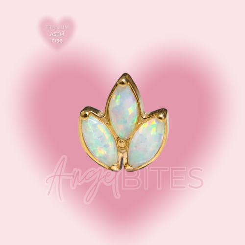 _Angel Bytes Catalogo 1 - 2026-07-07T085317.063 Angel Petals
