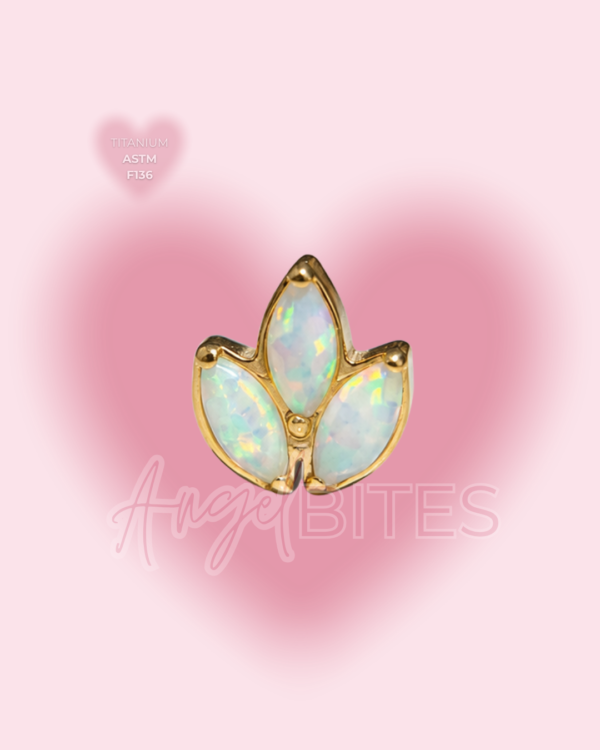 _Angel Bytes Catalogo 1 - 2026-07-07T085317.063 Angel Petals