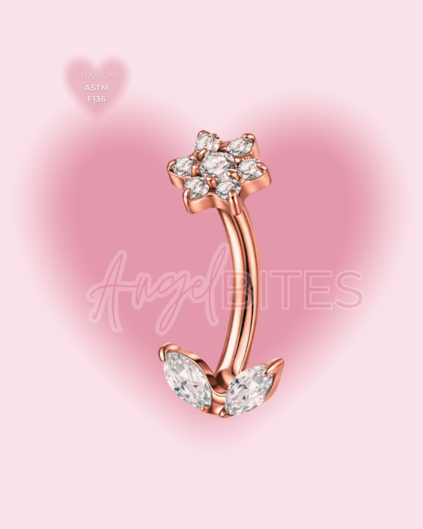 _Angel Bytes Catalogo 1 (38) Angel Bloom Curve