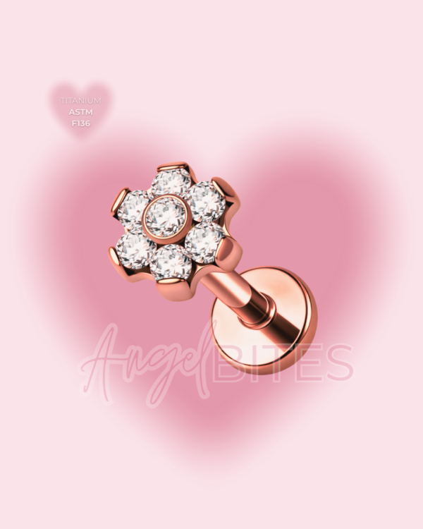_Angel Bytes Catalogo 1 (90) Blossom Labret
