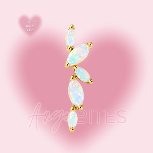 Angel Bytes Catalogo 2 - 2026-07-07T102041.019 Angel Feather