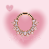 Pink Petal Prism